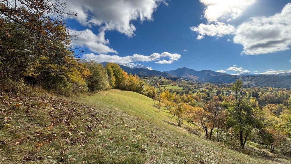 Vând teren în Bran-Sohodol