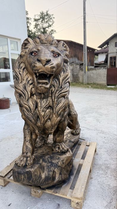 Leii din betin pentru curtea ta !