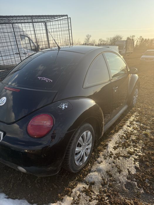Volkswagen beetle