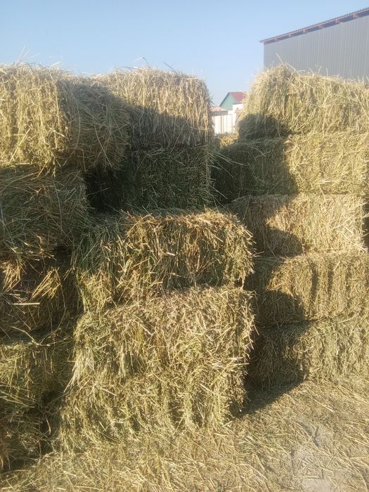 Шоп сатылады жоныршка