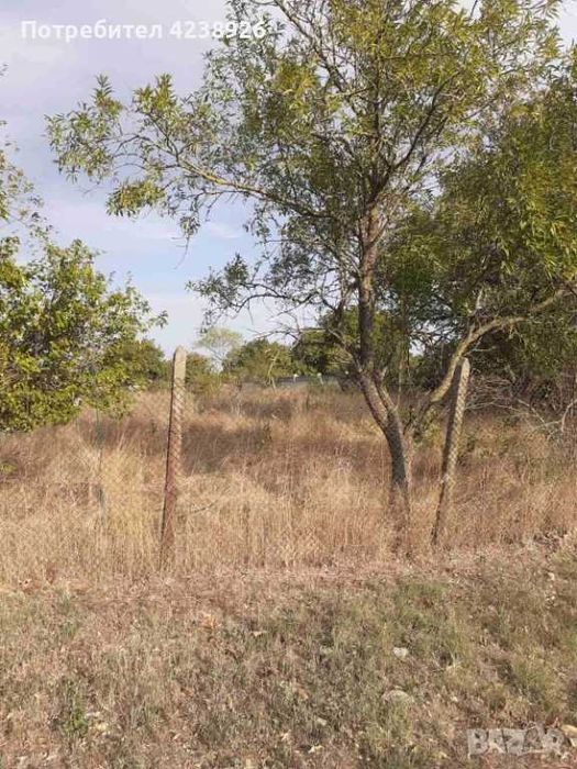 Парцел в с.Аврен