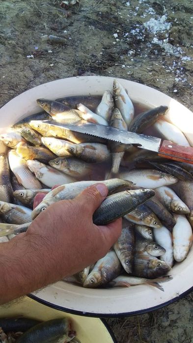 Qibrayda suv buyida sotiladigan xovli "narx 1 sotika xisoblangan"