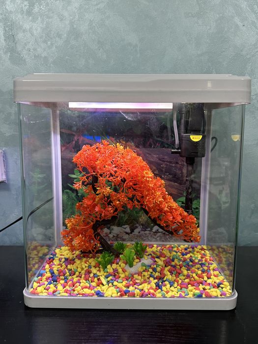 Заводские аквариумы от 10 до 150л