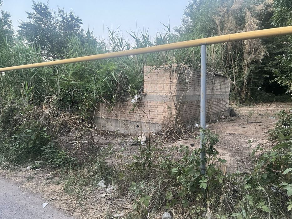 Dala xo’vli Qibray