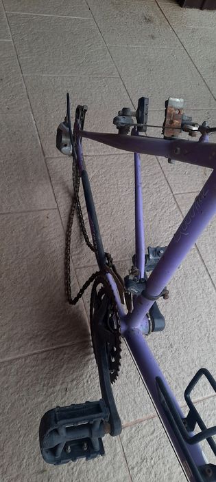 Checker pig cpx 2000