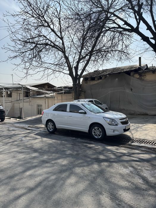 Kobilt Sotiladi 2024-25