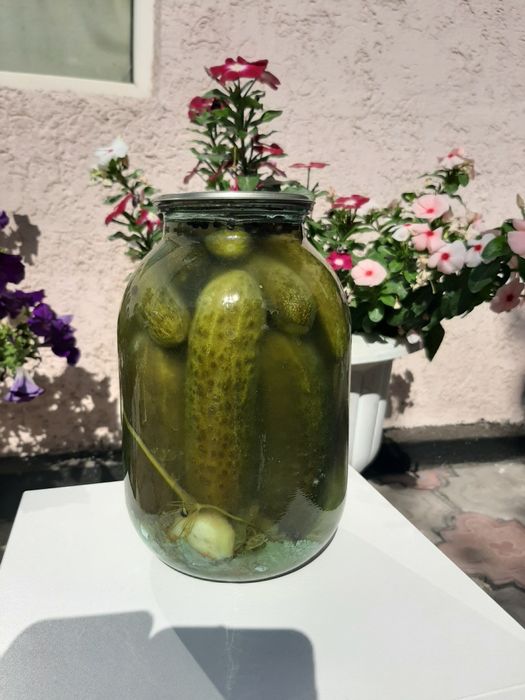 Продам  солёные огурцы