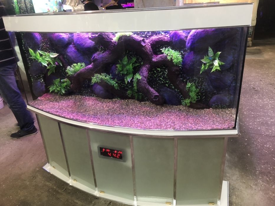 Изготовление и ремонт аквариума продажа рыб обслуживание и другие усл