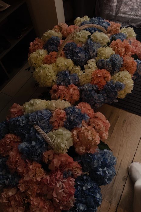 Свежие гортензий