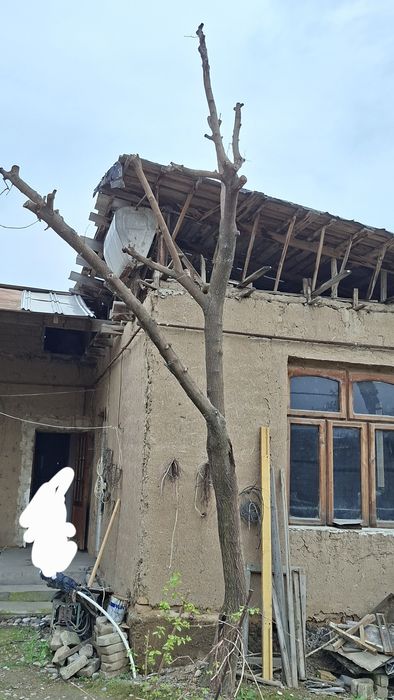 Отинла–дарахтла, дрова