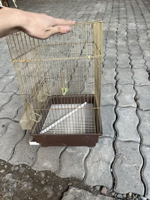 Продам Птичью клетка