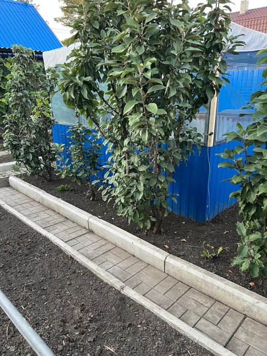 ПРОДАМ ДАЧУ. Садовое общество «Дорожник»