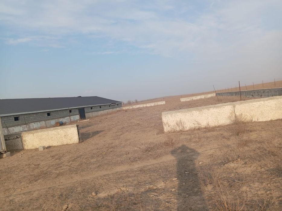 Срочно фазенда Караой