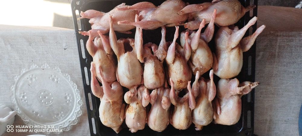 Oua prepelita  proaspete  pentru consum, cura sau incubat.