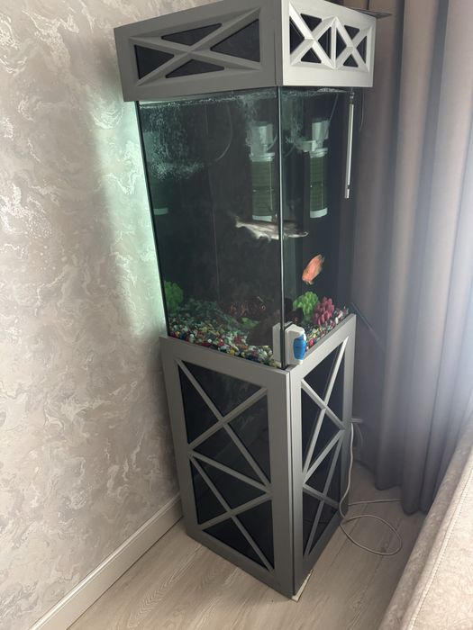 Akvarium 120 L. Tumbasi bilan