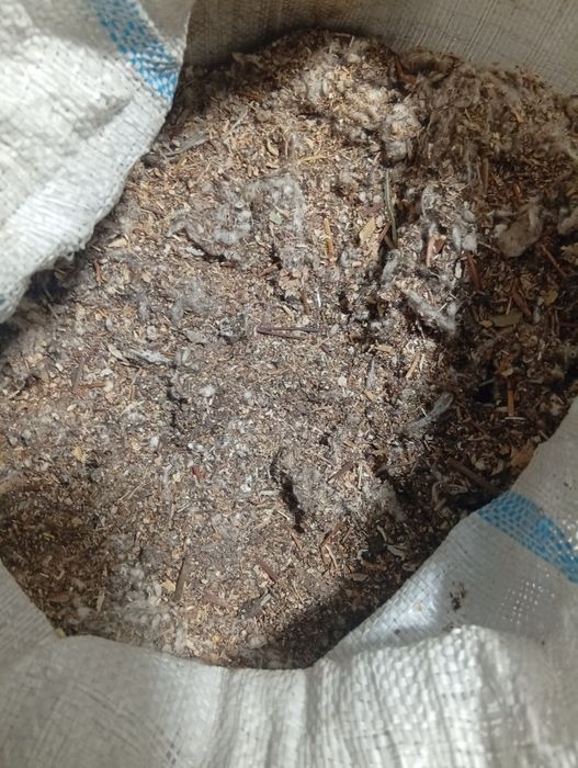 Мол қуй учун витамин ем