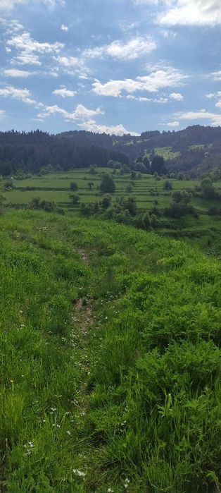 Продава се Къща в с. Лилково, Област Пловдив - 100 кв.м за 281 €/кв.м - Снимка #4