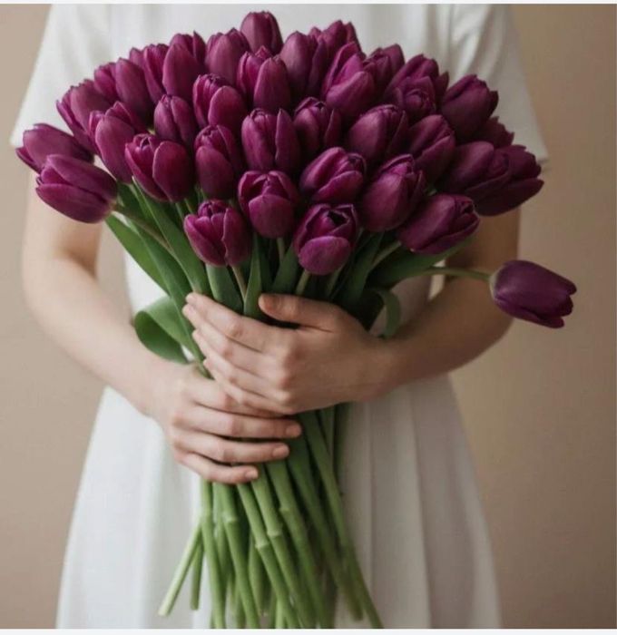 Свежие Тюльпаны оптом и в розницу