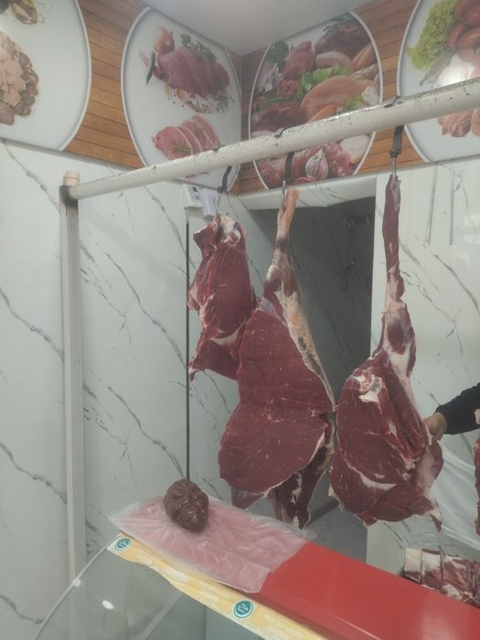 Sifatli novvos goshtlari sveji xolda