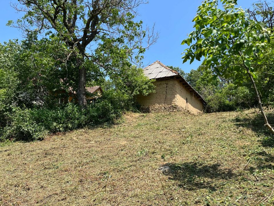 Curatare teren , tocare vegetatie,