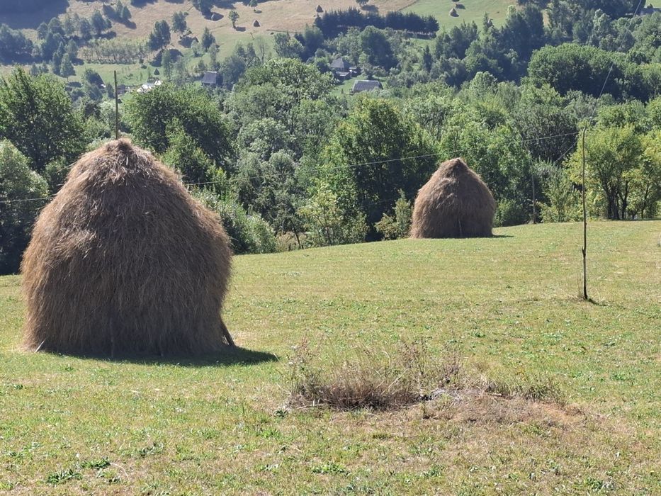 Vând 10 clăi mari de fân de calitatea1, între 12 și 13 tone.