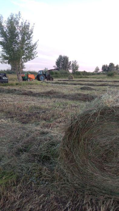 Продам сено луговой