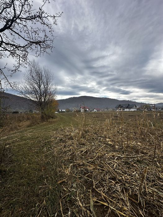 Teren extravilan 2.133 mp - Gura Humorului