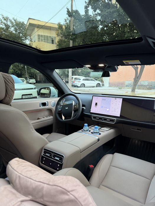 Lixang Li 6 Max