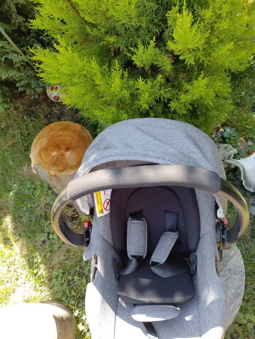 количка Лорели криста