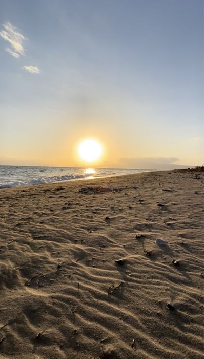 Дава се под наем Парцел в София, Света Троица - 250 кв.м за 800 € - Снимка #6