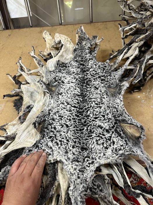 Антика терилар сотилади