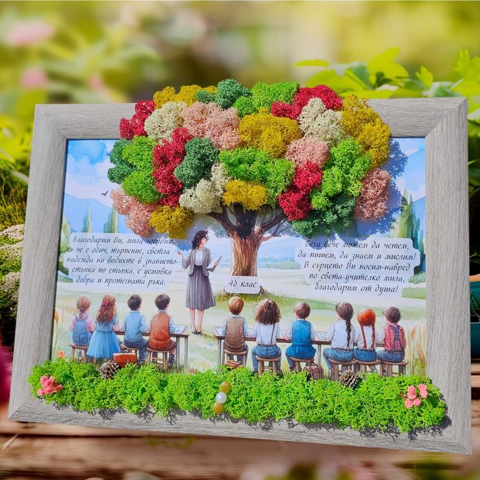 Комплекти за Дипломиране, Пана за учители