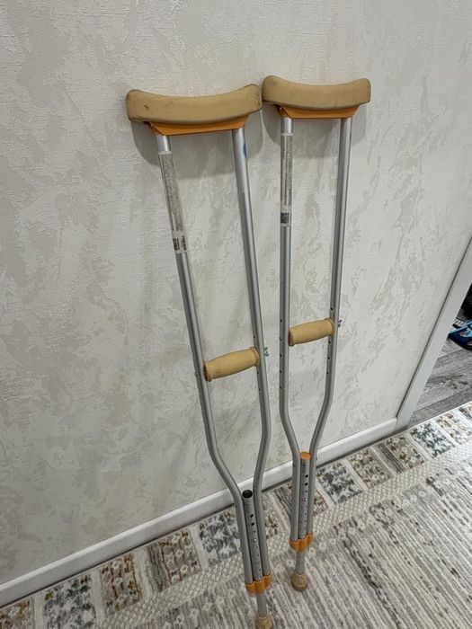 Трость (аверсус)