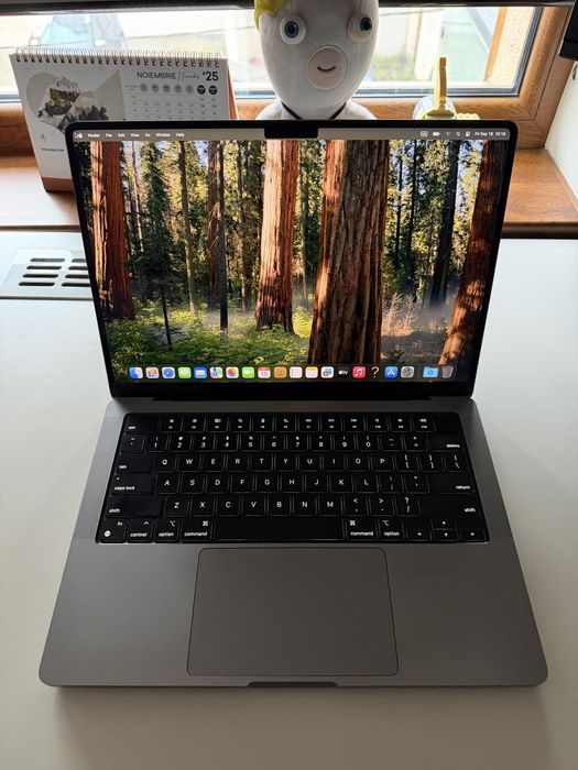 Apple MacBook Pro M1 Pro de vânzare | OLX.ro