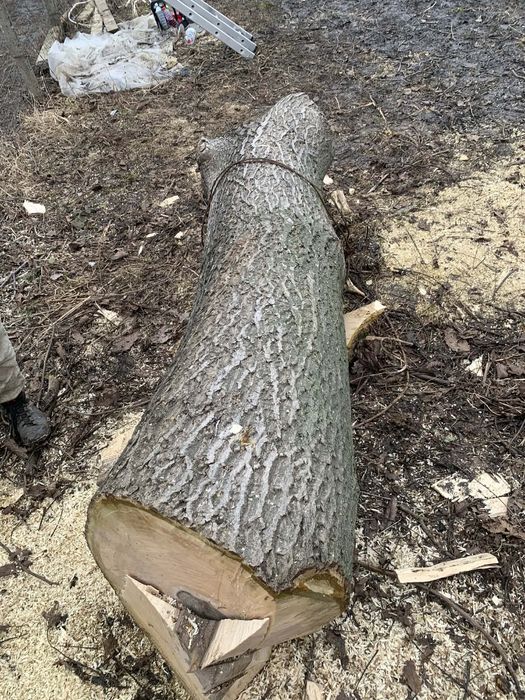 Lemn de Nuc , utilizat in scop de constrctie sau in scopul de creea ..