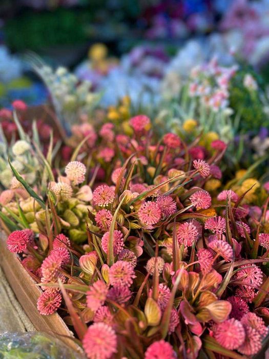 Искусственные Цветы | Оптом | Рассрочка