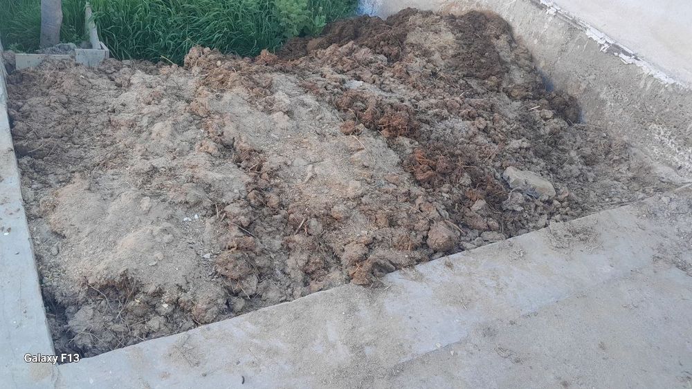 Отдам даром навоз