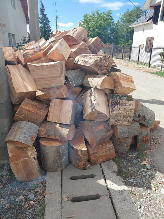 Lemne de foc esență fag.