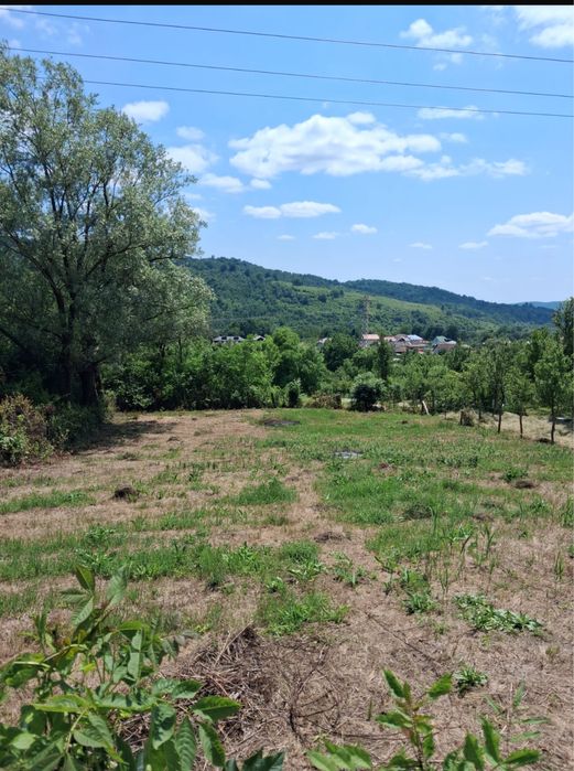 Teren intravilan Oraș Fieni
