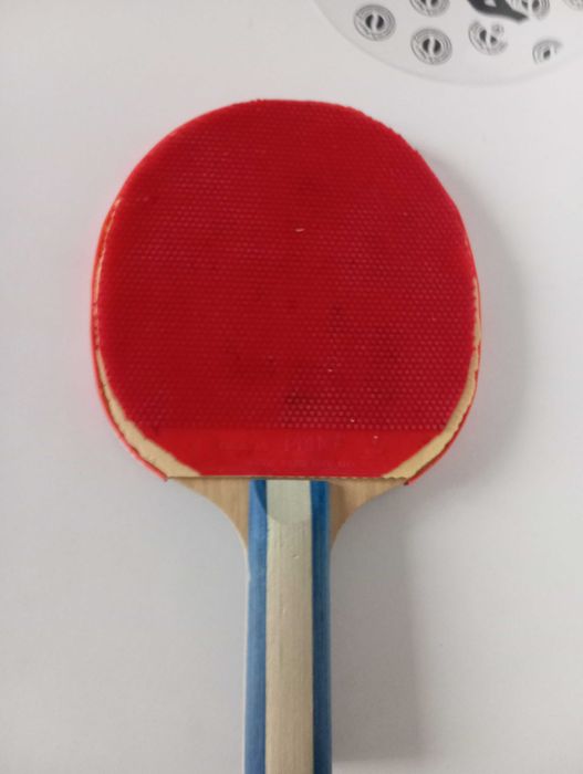 palete și fete pt tenis de masa
