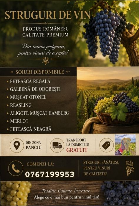 Vând struguri de vin direct de la producător