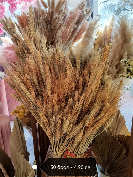 Сухи цветя - пампас, гипсофил, статица, хортензия и други