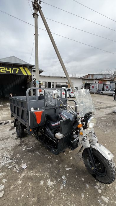 ALP MOTORS chelak shahri