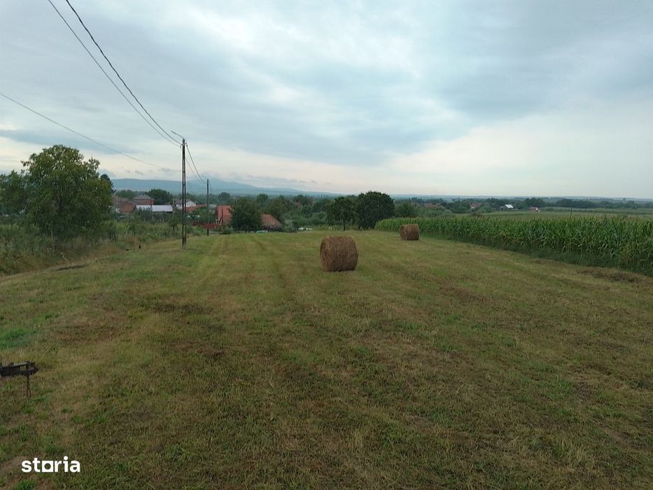 Teren intravilan de vanzare