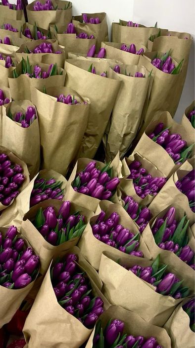Тюльпаны оптом Алматы 450 тг