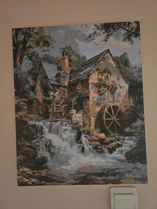 Vind picturi la pret rezonabil