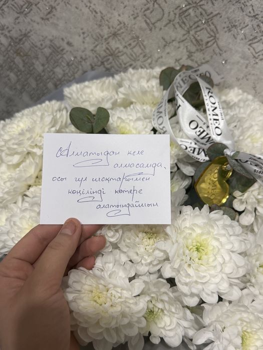 Цветы свежий ромашки