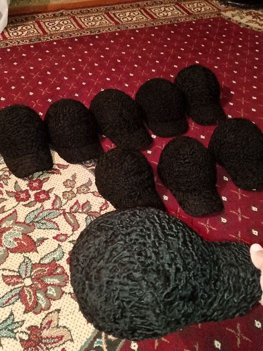 Коракул теридан кепка