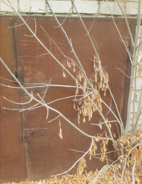 Продам вороту от