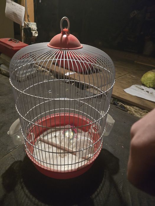 Colivie cusca papagal completa cu accesorii fara defecte